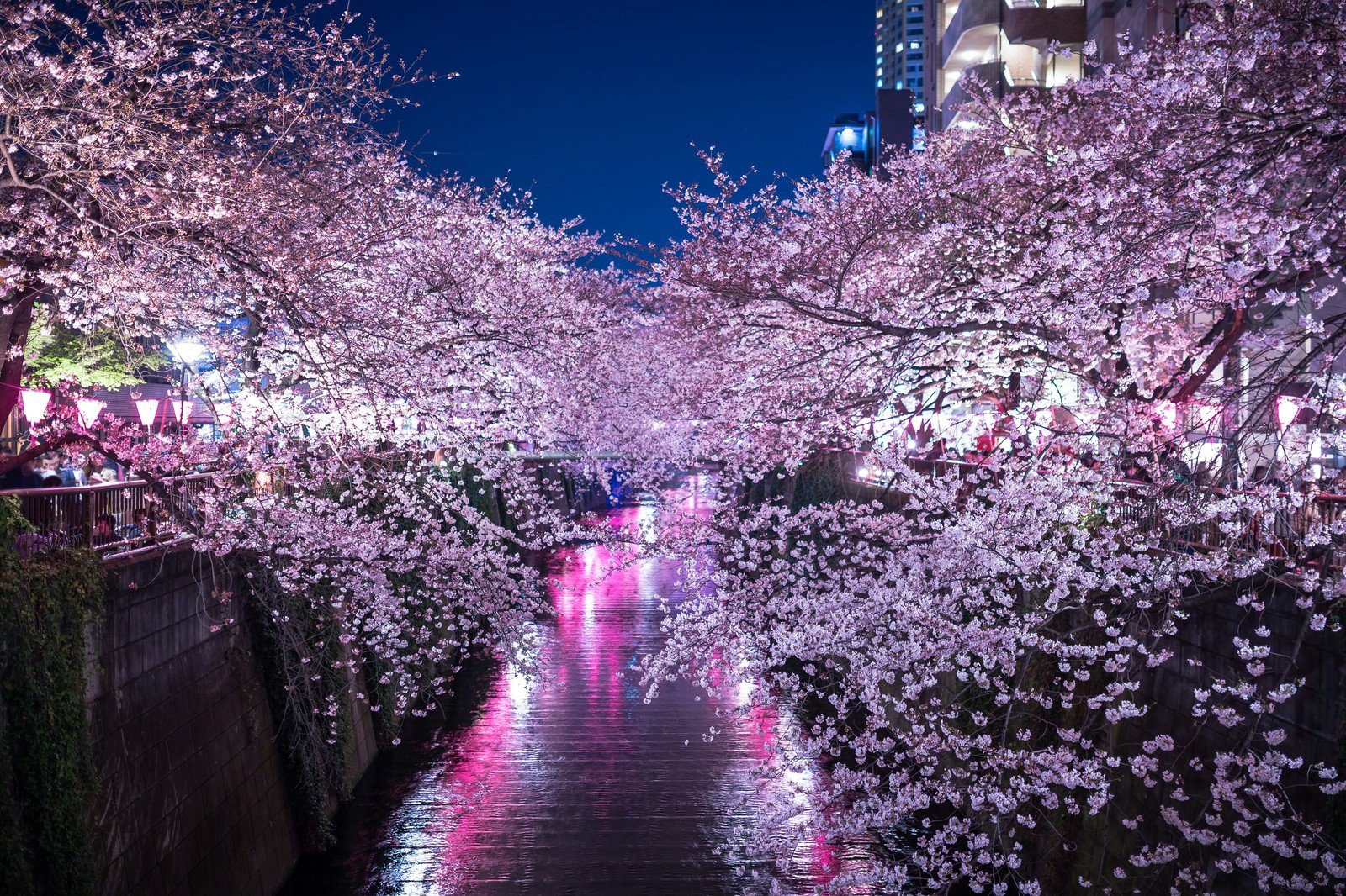 10 月 お祭り 東京